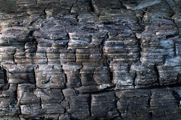 Top view of burnt black tree trunk textured background. Black wooden surface.