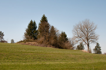 landscape in swabian alb in early spring