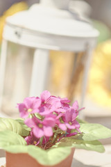 Decoración con candelabro y girasol