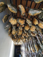 bodega de jamones ibéricos