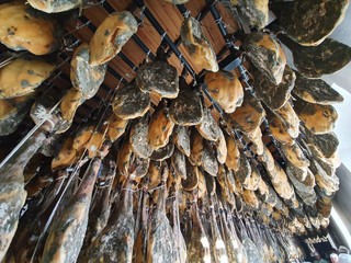 bodega de jamones ibéricos