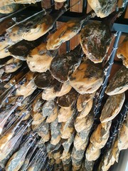 bodega de jamones ibéricos