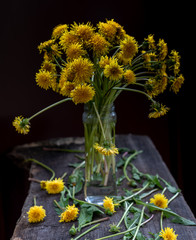 Bouquet of dandelion flowers, yellow wildflowers on wooden table rustic