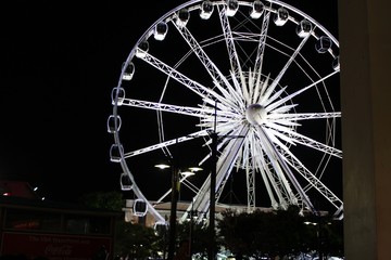 Ferris wheel at night