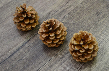 Three brown pinecones on wooden