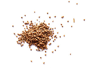 
Coriander seeds on a white background