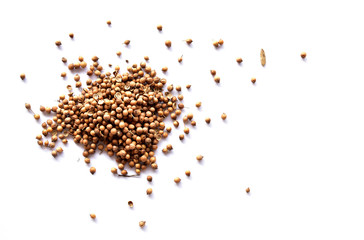 
Coriander seeds on a white background