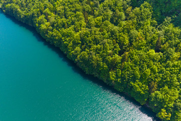 Natural background. Forest and lake. Aerial view.
