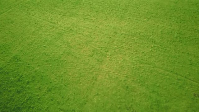 Aerial video flying over green grass field during sunset in spring time
