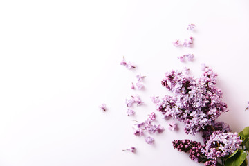 Frame of lilac flowers with space for text on white background. Flat lay, top view