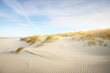Das Ufer (Wüste) der Insel Anholt unter dem strahlend blauen Himmel mit Zirruswolken. Nahaufnahme von Sanddünen und Pflanzen (Ammophila). Umweltschutz, Thema Ökotourismus. Kattegat, Dänemark © Alex Stemmer