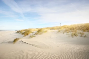Das Ufer (Wüste) der Insel Anholt unter dem strahlend blauen Himmel mit Zirruswolken. Nahaufnahme von Sanddünen und Pflanzen (Ammophila). Umweltschutz, Thema Ökotourismus. Kattegat, Dänemark © Alex Stemmer