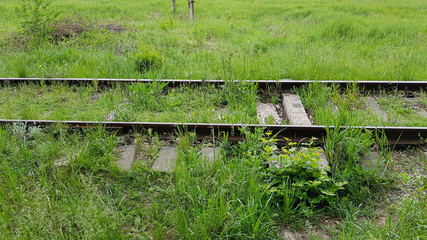Fototapeta premium Railroad in the grass during the day