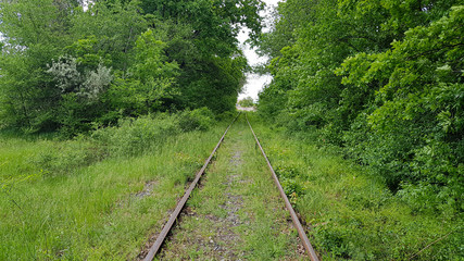 Obraz premium Railroad in the grass during the day