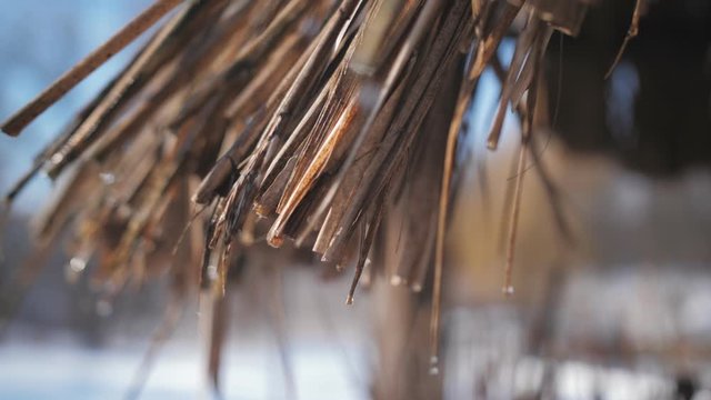 On a Sunny winter day, drops of water from snowmelt fall from the thatched roof