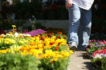 Women looking at flowers at market