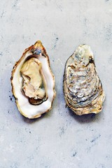Mediterranean oysters on a light background. Sea delicacy.