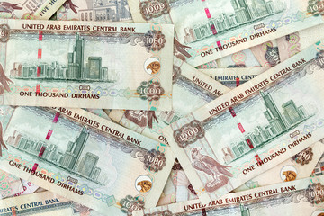 UAE dirhams, banknotes, closeup view	