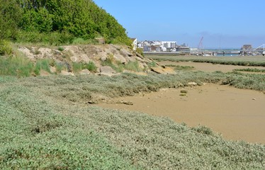 Fototapeta na wymiar Mud flats at the River Adur Estuary in Shoreham, West Sussex
