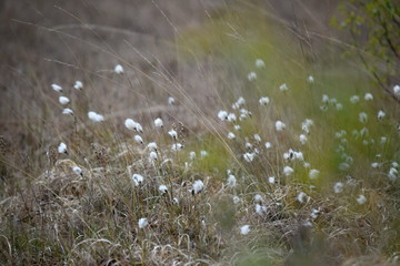 Krafttanken im Hechtmoor - Mai 2020