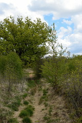 Krafttanken im Hechtmoor - Mai 2020