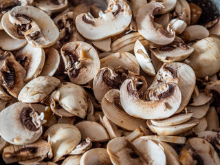 mushrooms on a white background