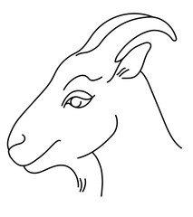 Handdrawn goat isolated on a white background. Linear silhouette. Vector illustration. Organic farmer`s cheese, milk or meat