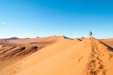 Fototapeta na wymiar Auf dem Dünengrat in der Wüste Namib
