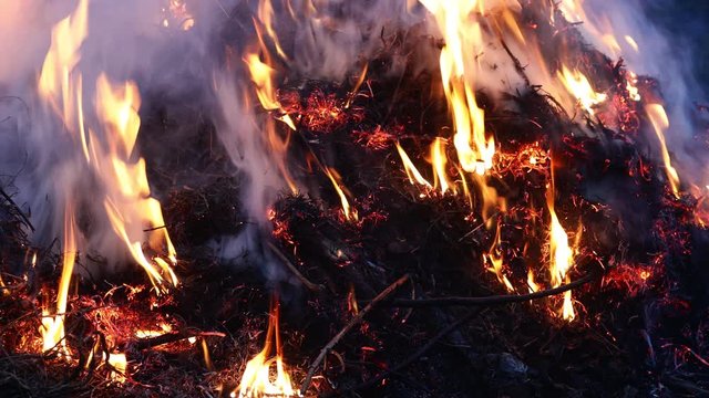 Last year's dry grass burns, smolders and smokes closeup