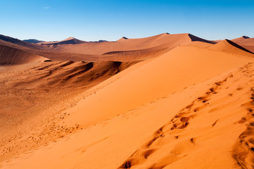 Fototapeta na wymiar Spuren im Sand der Wüste Namib