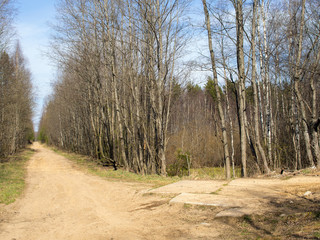 landscape with dirt road