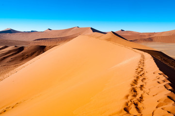 Naklejka na ściany i meble Spuren im Sand der Wüste Namib