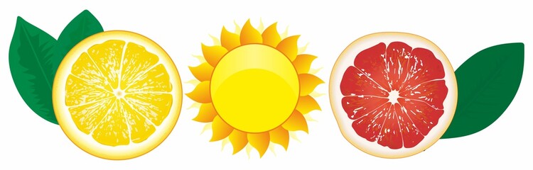 Slices of lemons, grapefruits and sun. Bright yellow lemon, red grapefruit and Sun. The concept of summer, rest on a nice hot day. Vector illustration.