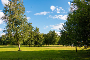 Obraz premium photo of a park in Moscow