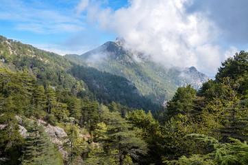 Fototapeta na wymiar Landscape of the Taurus mountains covered by trees on famous Likya Yolu tourist way in Turkey