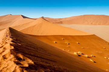 Die riesigen Sanddünden der Wüste Namib