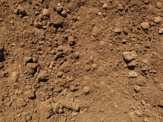 Tierra seca