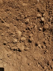 Tierra seca