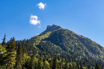 photo of mountains in Dombai Russia