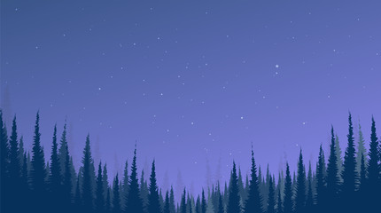 Fototapeta na wymiar Night landscape background with Pine Forest and Star,free space for text in put,vector