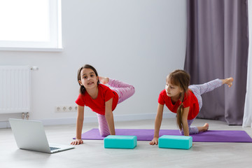 Beautiful athletic young girls practicing yoga together at home