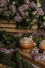On the table among the lilac branches are vanilla cupcakes