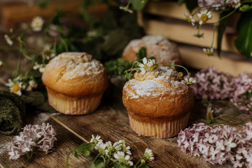 On the table among the lilac branches are vanilla cupcakes