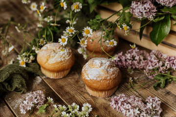 On the table among the lilac branches are vanilla cupcakes