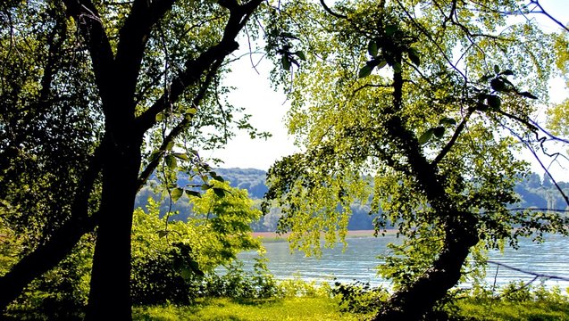228,391 BEST Lakeshore IMAGES, STOCK PHOTOS &amp; VECTORS | Adobe Stock