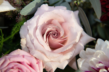 Gorgeous pastel pink rose in bridal bouquet 