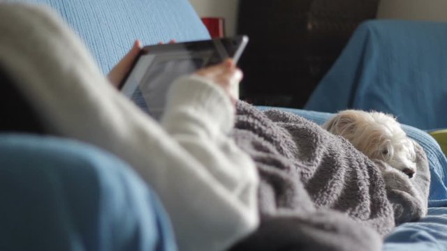 Woman relaxing at home with her dog, lying on the sofa wrapped in a warm blanket and watching a movie on tablet