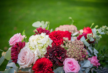 Beautiful flowers in the summer sunshine