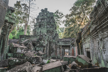 Huge Banyan Tree Ancient Angkor Wat Ruins Panorama Sunrise Asia. Angkor Temples Ta Prohm. Siem Reap, Cambodia 