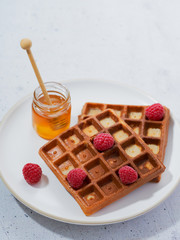 Homemade waffles with honey, raspberry in plate on grey surface. Healthy breakfast, brunch concept, selective focus, copy space.